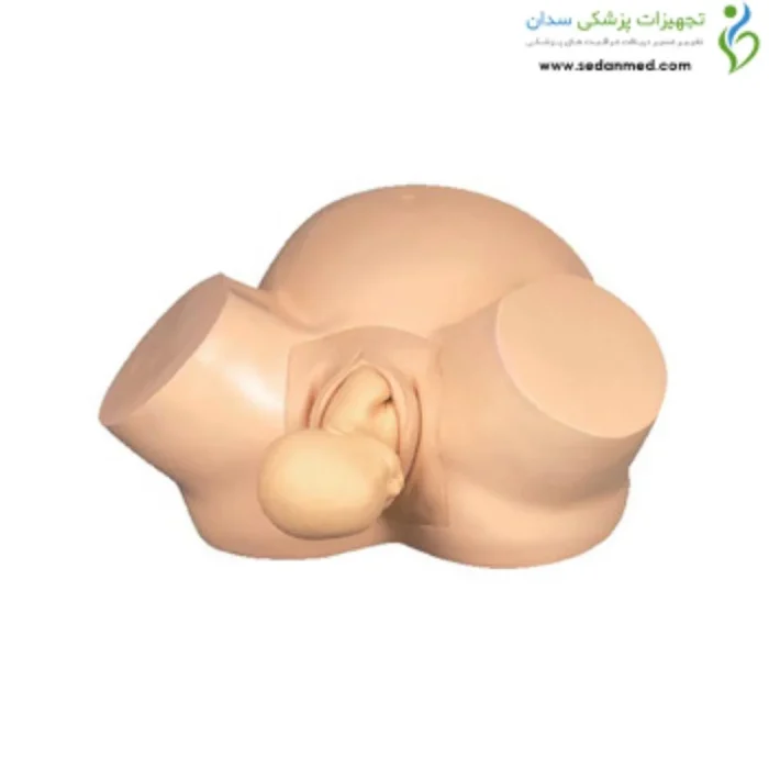 مولاژ شبیه ساز زایمان طبیعی