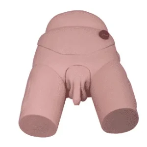 مولاژ مدل کامل مجاری ادراری آقایان