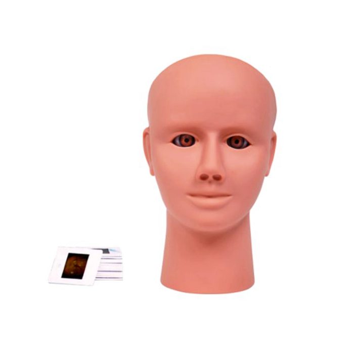 مانکن معاینه چشم و تعیین نمره چشم (مولاژ معاینه چشم)