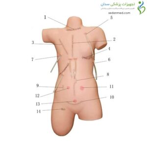 مانکن شبیه ساز بخیه و بانداژ