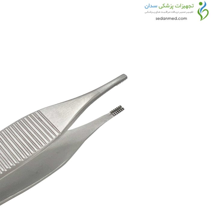 پنس آدسون کارتیلاژ